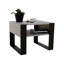 Kula Sled Coffee Table with Storage