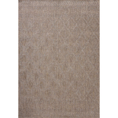 Tapis intérieur / extérieur naturel / brume Amber Lewis x Loloi