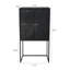 Armoire 31,5 x 16,5 x 60 po, noir