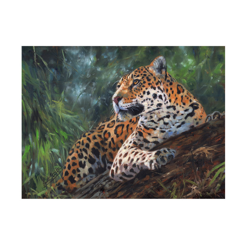 Art sur toile David Stribble Jaguar In Tree, H 35 po x l 47 po