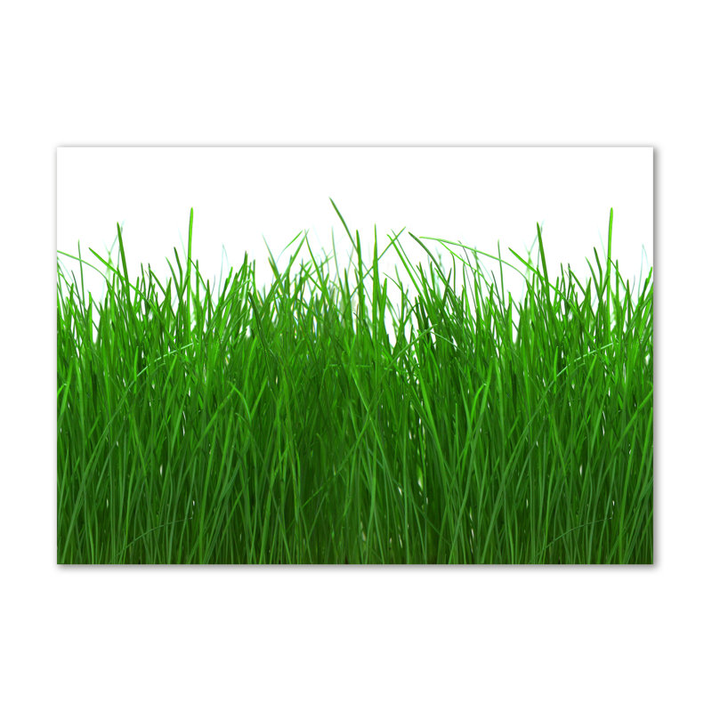 Grass - Wrapped Canvas Print