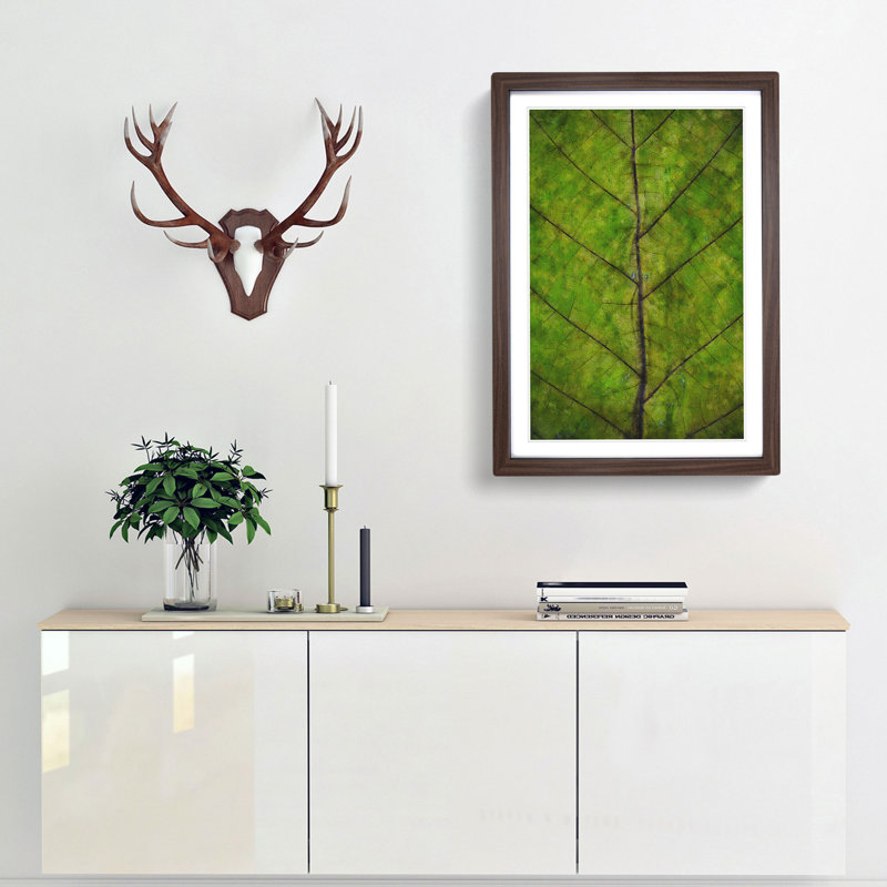 Leaf Lines - Framed Print, Walnut Framed, 87cm H x 62cm W x 2cm D