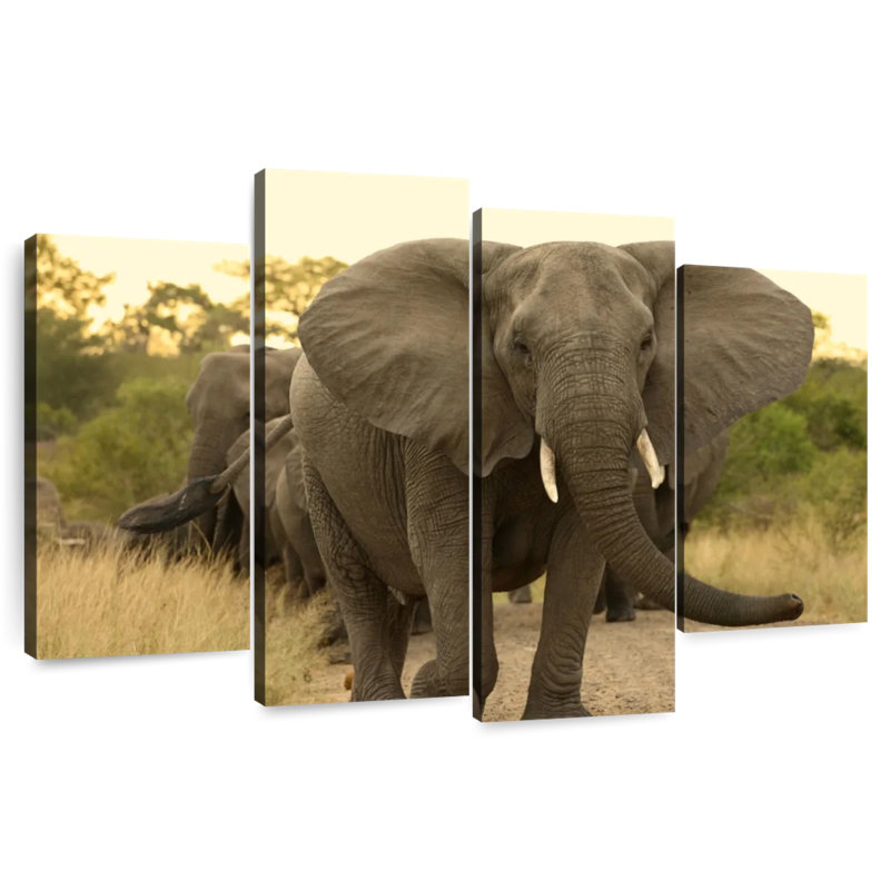 Brampt The Elephant Walk, H 22 po x l 36 po