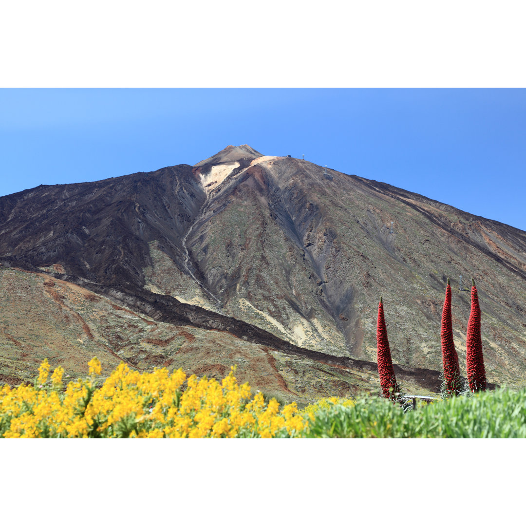 Berg Teide, Teneriffa von Maridav - Kunstdrucke auf Leinwand