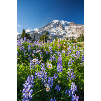 Mount Rainier and Wildflowers 1 Piece Wrapped Canvas Wall Art