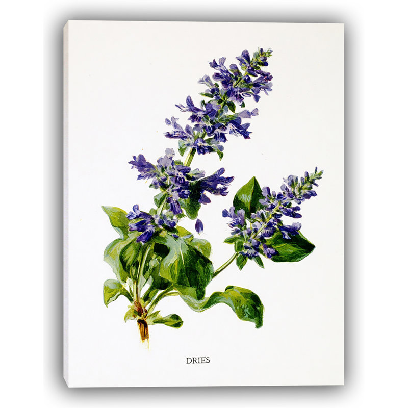 Aquarelle, art floral sur toile