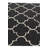 Jaycee Black Rug
