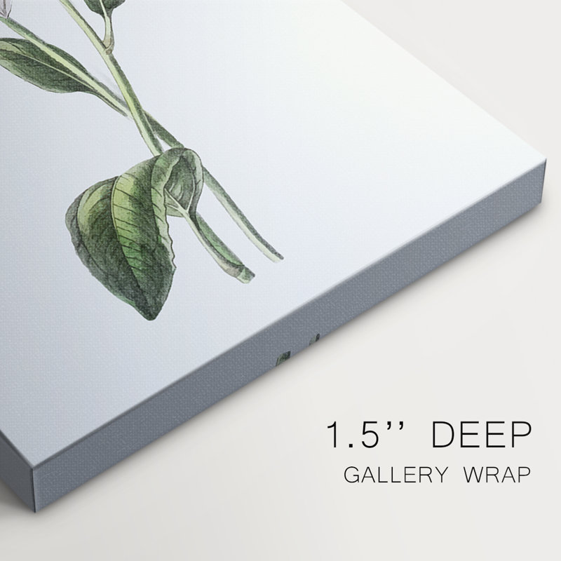 Tropical Botanical III - Cavas enveloppés de galerie, H 18 po x l 12 po