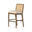 Antonia Cane Armless Counter & Bar Stool-1773133484-1773133483