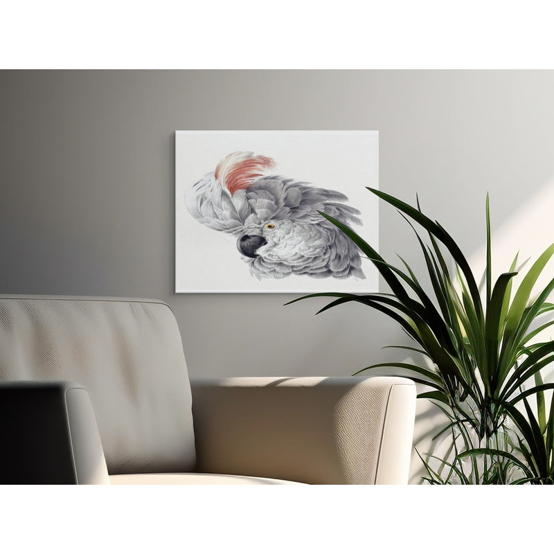 Print, 20x10