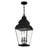 Anousha 3 - Light Outdoor Hanging Lantern-1206560883