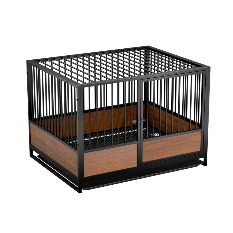 Biston Cat Cage, 1