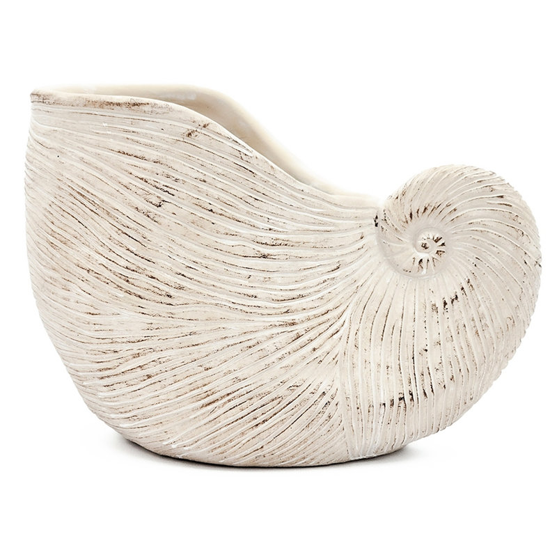 Textured Beige Finish Sand And Cement Shell Planter For Herbs Adding A Relaxed Feeling To Your Bedroom 11.5X6.7X7.7 Inches In Form With Neutral Colorway Trailing Plant Arrangements