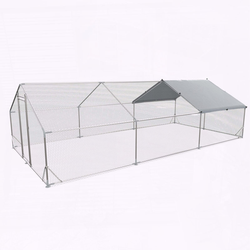 Grande cage à poulets en métal avec couvercle, H 77 po x l 236 po x P 118 po