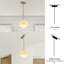 Luminaire suspendu en verre 1 lumière-1081028764