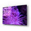 «Striped Long Tentacle Anemone» par Epic Portfolio, art mural en verre acrylique-24939873