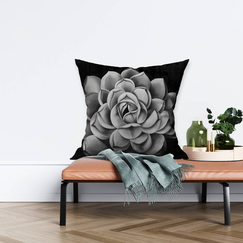 Black and White Succulent Throw | Stylish – Throw Pillow Cover Only, Double-Sided Print, Insert Not Included