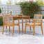 Chaises de salle à manger d'extérieur en bois d'acacia et corde en teck (ensemble de 2)