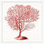 Red Branch Coral 2 Print by Lillian August