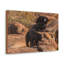 «Sloth Bear Group», art mural paresseux