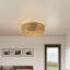 Ceiling Fan with Light Kit
