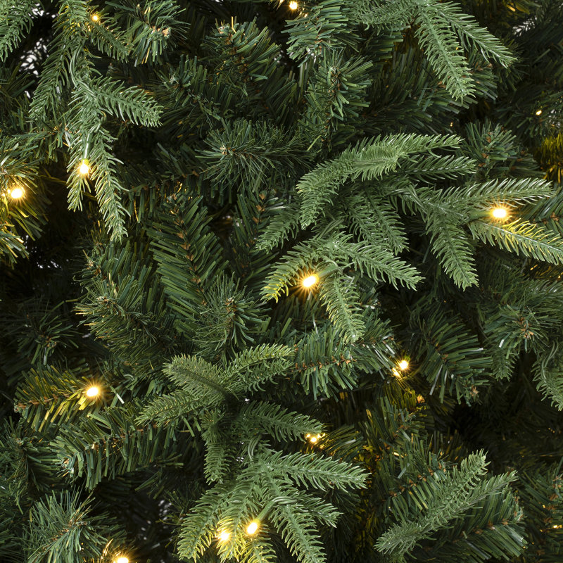 Arbre vert clair Duxbury, H 7,5 pi, Illuminé
