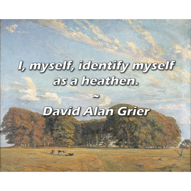David Alan Grier Citation: Je m'identifie comme un païen., H 20 po x l 24 po