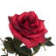 45 po plante artificielle en pot-1646516373