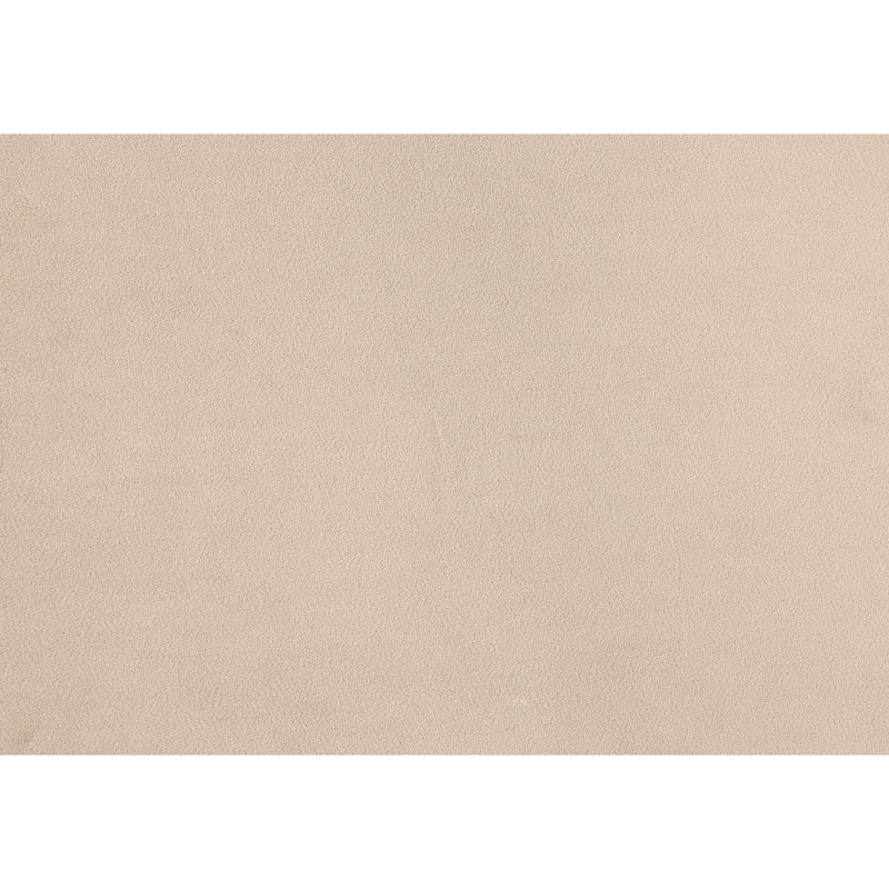 Ensemble de chaises d'appoint rembourrées 2 pièces, Beige