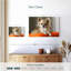 Chihuahua sur un coussin-2047808711