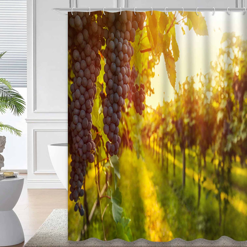 Rideau de douche Grape Harvest Vineyard Sunset, L 72 po x l 84 po