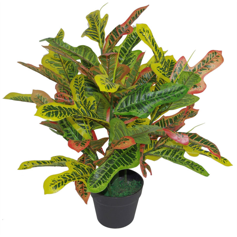 Faux Plant in Pot Liner, 65cm H x 50cm W x 50cm D