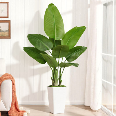 5FT Artificial Bird of Paradise Plant with White Wavy Square Planter, Faux Bird of Paradise Plant Floor Tropical Plant for Indoor Home Office Decor