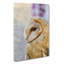 Barn Owl Vol.5 Painting - Wrapped Canvas-61875963