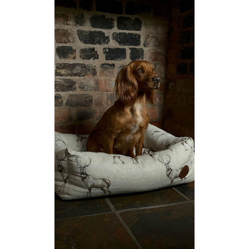 Phillipston Animal Print Polyester Pet Bed, 10cm H x 24cm W x 21cm D