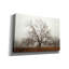 «Morning Calm I» par Debra Van Swearingen, art mural sur toile-100254761