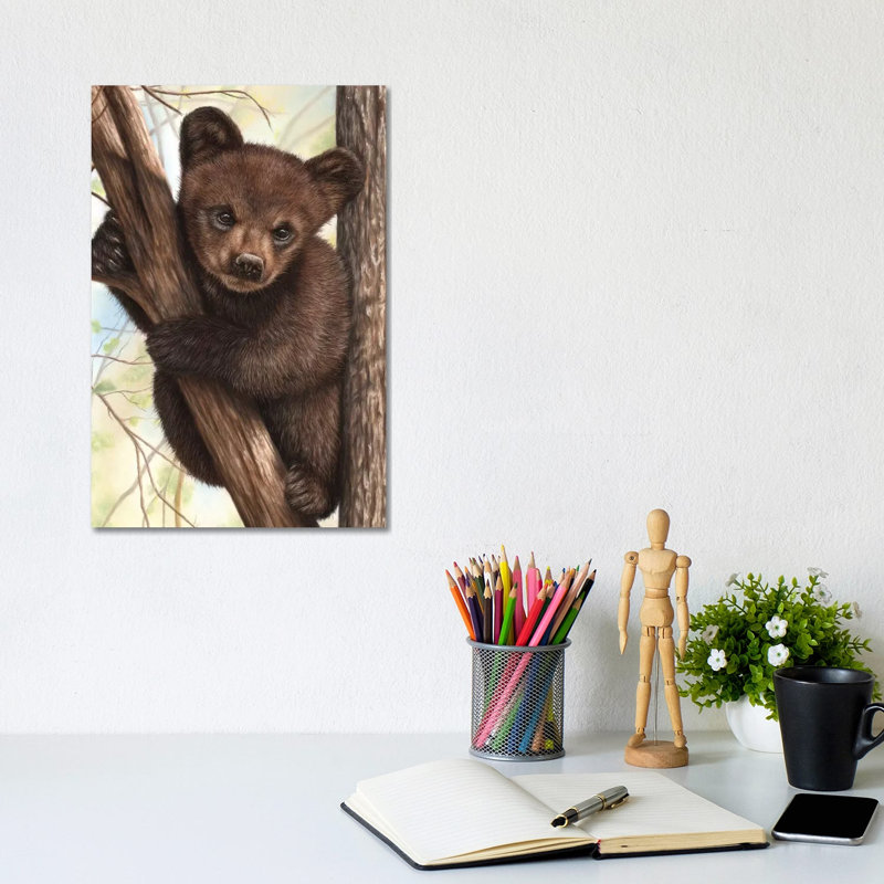 Bear Cub by Richard Macwee - Wrapped Canvas Print, 20.32 cm H x 30.48 cm W