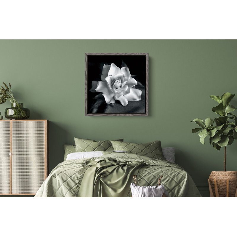 "Gardenia" par Debra VanS vêtementsingen, photographie de fleur sur toile tendue, H 36 po x l 36 po, Gris