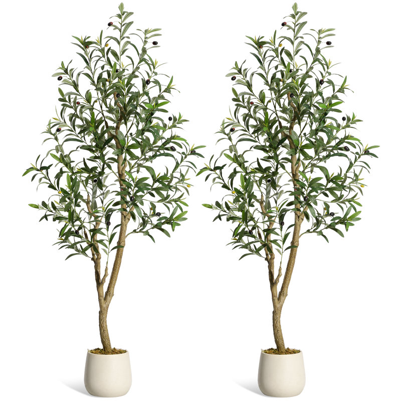 Plant, 152cm H x 20cm W x 20cm D, 2
