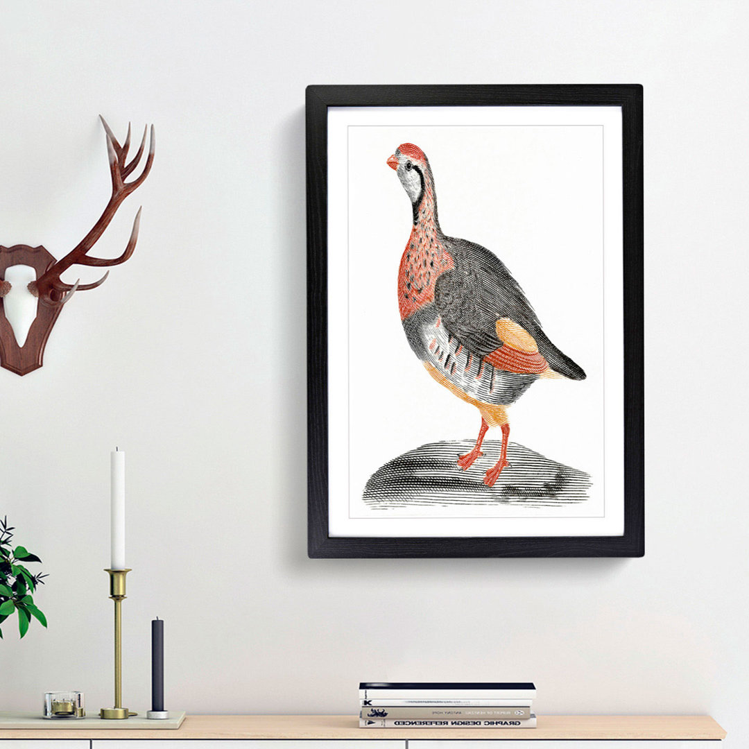 A Partridge by Johan Teyler - Framed Print