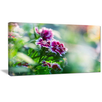 « rose floral on green background », reproduction de photo sur toile tendue