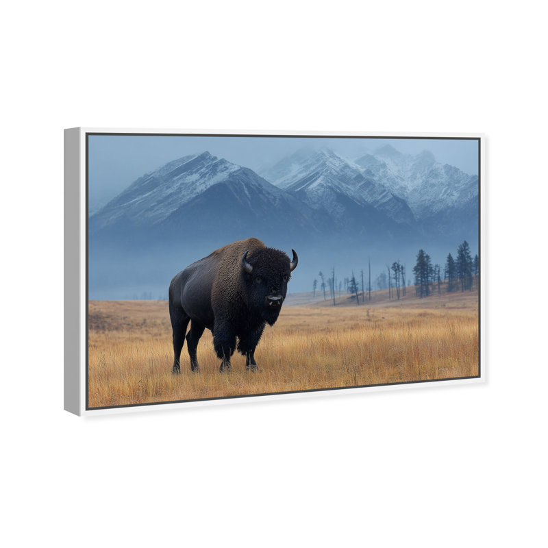 Mountain Bison I Print by Oliver Gal, 17" H x 25" W, White Floater Frame