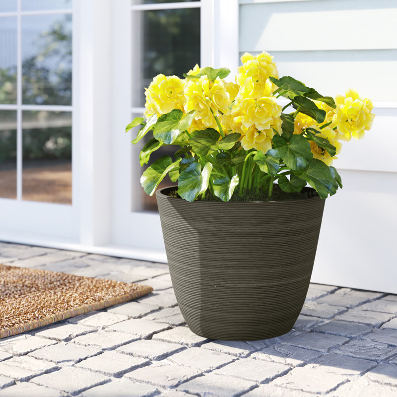 Pot de fleurs en plastique rond Cadence, Brun
