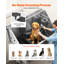 Baignoire de toilettage pour chien 50 po