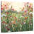 Alvord Delicate Spring In Full Bloom