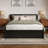 Ause Solid Wood Platform Bed with Matching Trundle-380814966-336580365