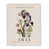 Coastal White Framed Giclee