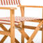 Directors Chair Table-1069273781