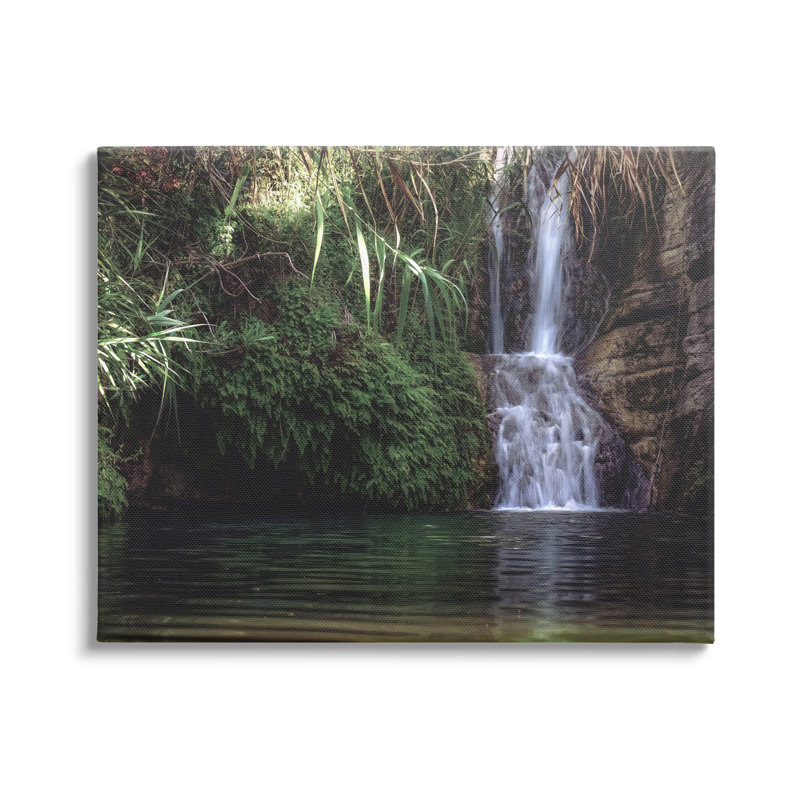 Tranquil Waterfall Rainforest Environment Nature Clearing Photography by Daphne Polselli - Print on Canvas, Wrapped Canvas
