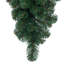 Goutte artificielle de sapin de l'Oregon-697988566-697988561